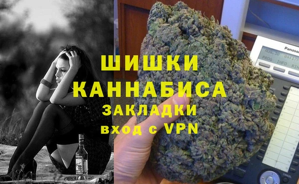 PSILOCYBIN Аркадак