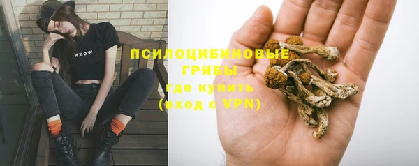 PSILOCYBIN Аркадак