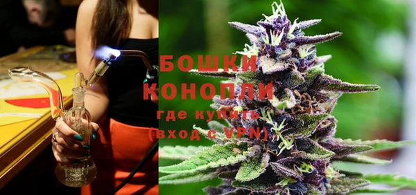 PSILOCYBIN Аркадак