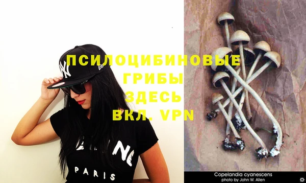 a pvp Арсеньев