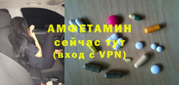 PSILOCYBIN Аркадак
