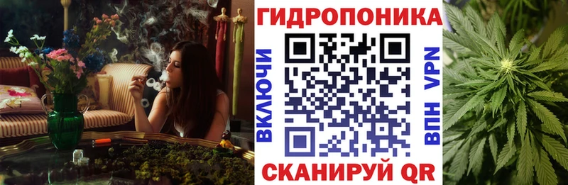 Марихуана сатива  купить наркотики сайты  Георгиевск 
